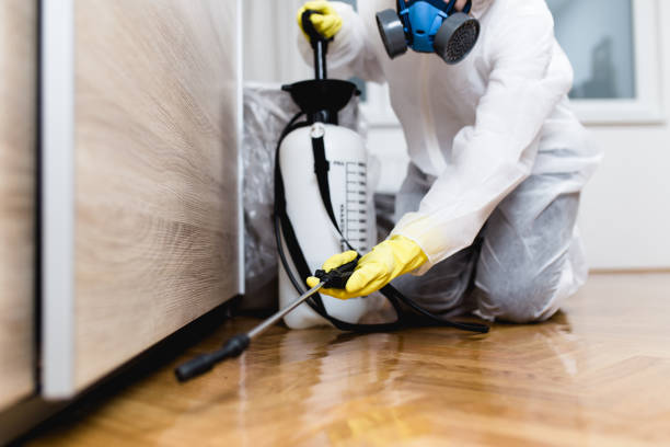 Best Pest Control Cost  in Highlands Ranch, CO