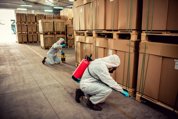 Best Residential Pest Control  in Highlands Ranch, CO