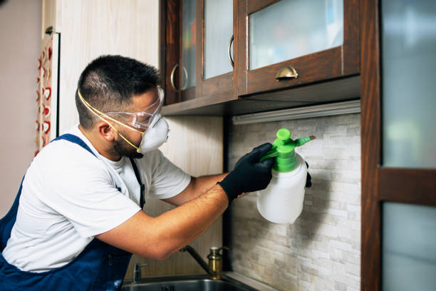 Best Pest Control Near Me  in Highlands Ranch, CO