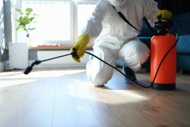 Flea Control Services in Highlands Ranch, CO