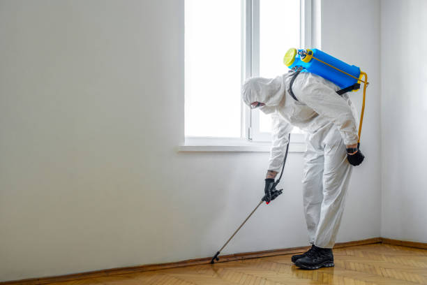 Best Pest Control Treatment  in Highlands Ranch, CO