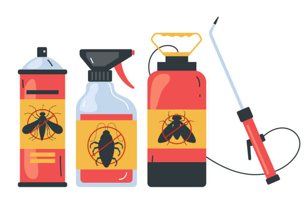 Best Termite Control Services  in Highlands Ranch, CO