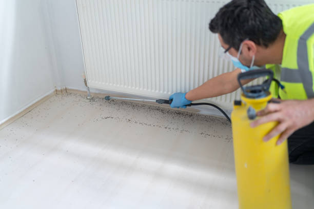 Best Commercial Pest Control Services  in Highlands Ranch, CO